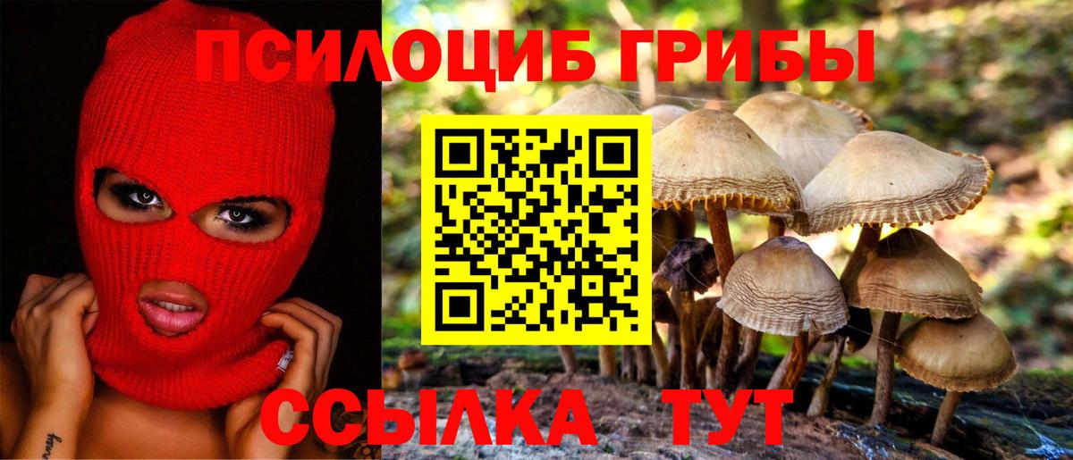 Псилоцибиновые грибы MAGIC MUSHROOMS  наркота  Рославль  Вход с VPN 
